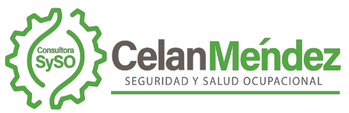 CONSULTORA SySO